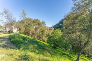 Residential Lot,  Steele Canyon road, Napa, CA 94558 - 22