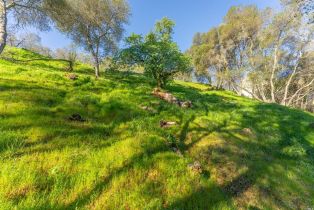 Residential Lot,  Steele Canyon road, Napa, CA 94558 - 13