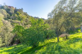 Residential Lot,  Steele Canyon road, Napa, CA 94558 - 7