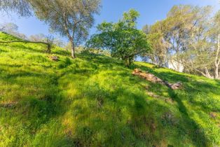Residential Lot,  Steele Canyon road, Napa, CA 94558 - 11