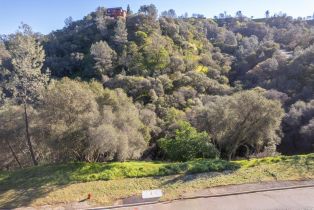 Residential Lot,  Steele Canyon road, Napa, CA 94558 - 26
