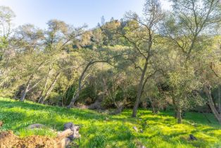 Residential Lot,  Steele Canyon road, Napa, CA 94558 - 9