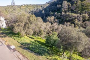 Residential Lot,  Steele Canyon road, Napa, CA 94558 - 33