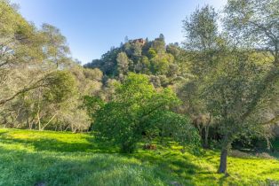 Residential Lot,  Steele Canyon road, Napa, CA 94558 - 6