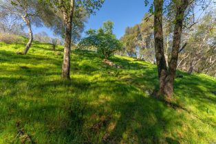 Residential Lot,  Steele Canyon road, Napa, CA 94558 - 14