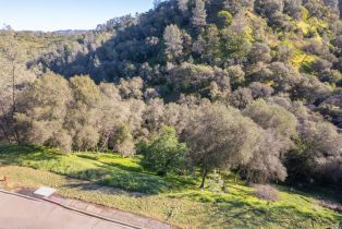 Residential Lot,  Steele Canyon road, Napa, CA 94558 - 3