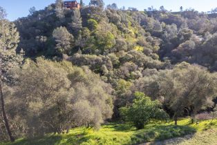 Residential Lot,  Steele Canyon road, Napa, CA 94558 - 25