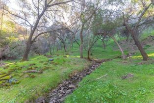 Residential Lot,  Steele Canyon road, Napa, CA 94558 - 18