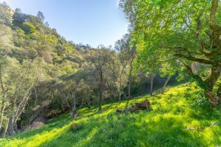 Residential Lot,  Steele Canyon road, Napa, CA 94558 - 8