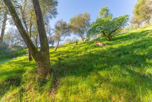 Residential Lot,  Steele Canyon road, Napa, CA 94558 - 15
