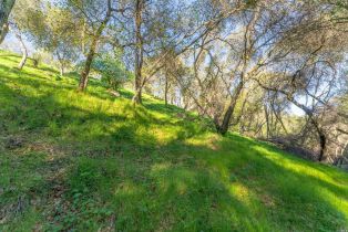Residential Lot,  Steele Canyon road, Napa, CA 94558 - 17