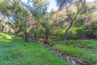 Residential Lot,  Steele Canyon road, Napa, CA 94558 - 19