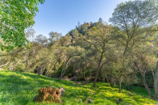 Residential Lot,  Steele Canyon road, Napa, CA 94558 - 21