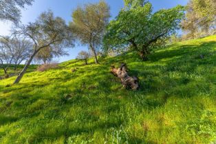 Residential Lot,  Steele Canyon road, Napa, CA 94558 - 12