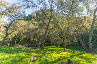 Residential Lot,  Steele Canyon road, Napa, CA 94558 - 10