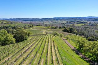 Single Family Residence,  River road, Cloverdale, CA 95425 - 43