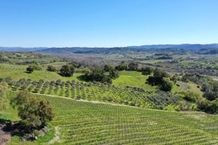 Single Family Residence,  River road, Cloverdale, CA 95425 - 47