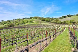 Single Family Residence,  River road, Cloverdale, CA 95425 - 29