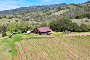 Single Family Residence,  River road, Cloverdale, CA 95425 - 60