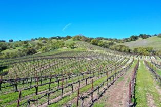 Single Family Residence,  River road, Cloverdale, CA 95425 - 42