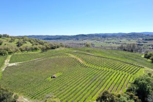 Single Family Residence,  River road, Cloverdale, CA 95425 - 40