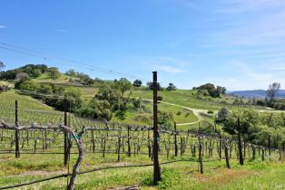 Single Family Residence,  River road, Cloverdale, CA 95425 - 30