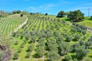 Single Family Residence,  River road, Cloverdale, CA 95425 - 34