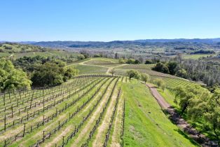 Single Family Residence,  River road, Cloverdale, CA 95425 - 44