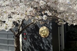 Single Family Residence,  Seminary street, Napa, CA 94559 - 62