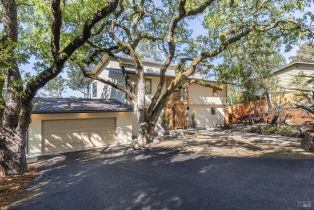 Single Family Residence, Spring street, Napa, CA 94559 - 57