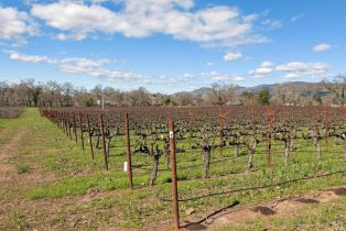 Residential Acreage,  Monticello road, Napa, CA 94558 - 3