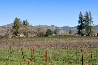 Residential Acreage,  Monticello road, Napa, CA 94558 - 48