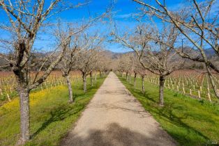 Single Family Residence,  Saint Helena highway, Calistoga, CA 94515 - 2