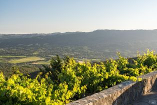 Single Family Residence,  Cavedale road, Glen Ellen, CA 95442 - 38