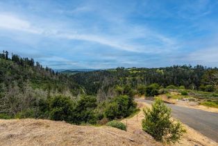 Residential Lot,  Mark West Springs road, Santa Rosa, CA 95404 - 25