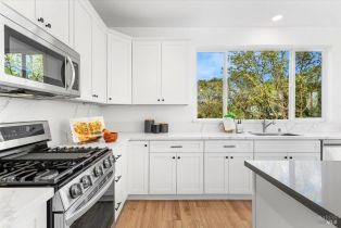 Single Family Residence,  Elson way, Santa Rosa, CA 95403 - 12