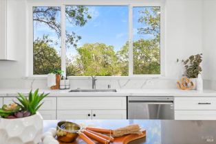 Single Family Residence,  Elson way, Santa Rosa, CA 95403 - 13