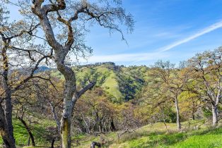 Residential Acreage,  Skaggs Springs road, Healdsburg, CA 95448 - 26