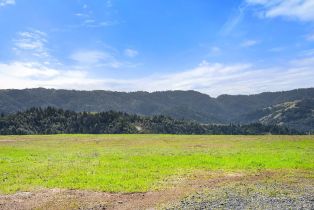 Residential Acreage,  Skaggs Springs road, Healdsburg, CA 95448 - 5
