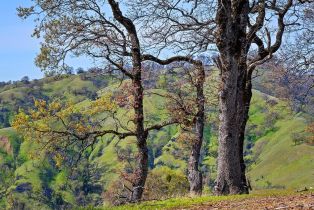 Residential Acreage,  Skaggs Springs road, Healdsburg, CA 95448 - 32