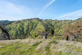 Residential Acreage,  Skaggs Springs road, Healdsburg, CA 95448 - 10