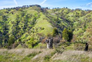 Residential Acreage,  Skaggs Springs road, Healdsburg, CA 95448 - 27