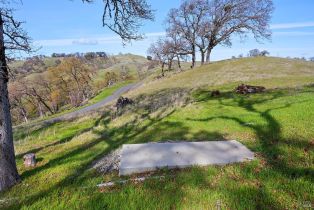 Residential Acreage,  Skaggs Springs road, Healdsburg, CA 95448 - 19