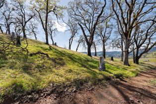 Residential Acreage,  Skaggs Springs road, Healdsburg, CA 95448 - 23