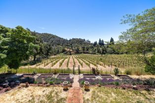 Single Family Residence, Atlas Peak road, Napa, CA 94558 - 25