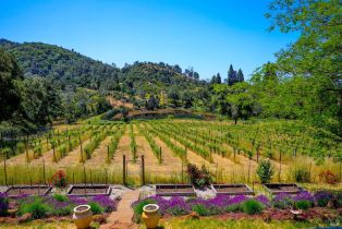 Single Family Residence, Atlas Peak road, Napa, CA 94558 - 58