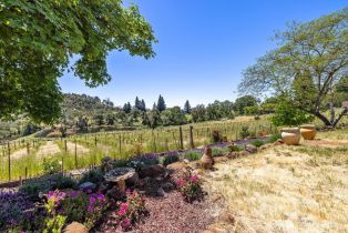Single Family Residence, Atlas Peak road, Napa, CA 94558 - 49