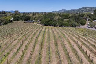 Single Family Residence,  Monticello road, Napa, CA 94558 - 31