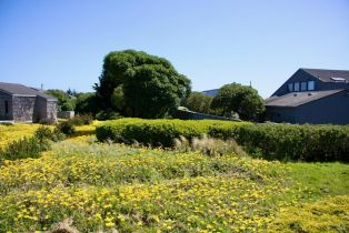 Residential Lot,  Sea way, Bodega Bay, CA 94923 - 8