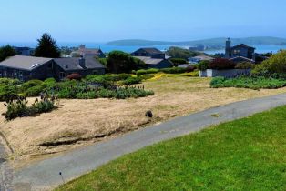 Residential Lot,  Sea way, Bodega Bay, CA 94923 - 7